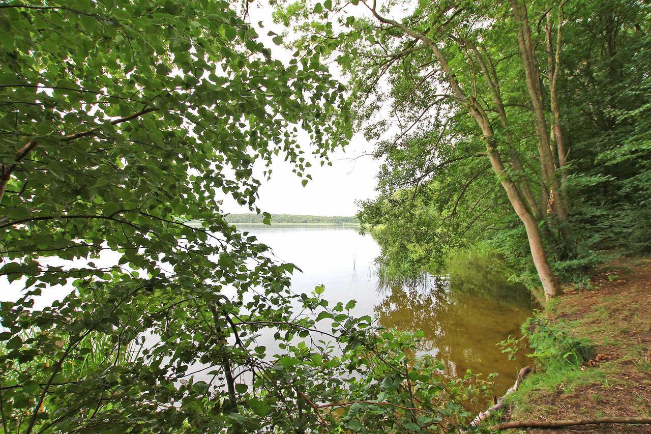 Ferienwohnung Im Forsthaus Am See Schwarz Buitenkant foto